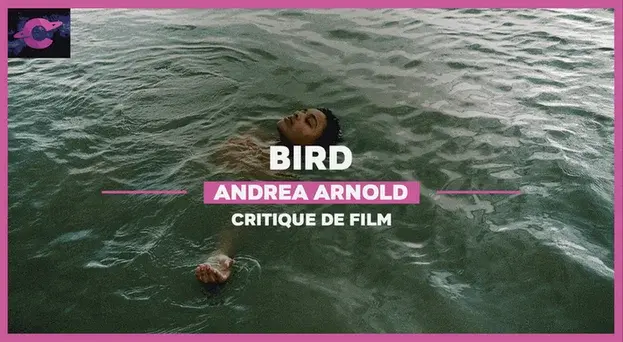 Bird d’Andrea Arnold : L’insoutenable réalité de l’être